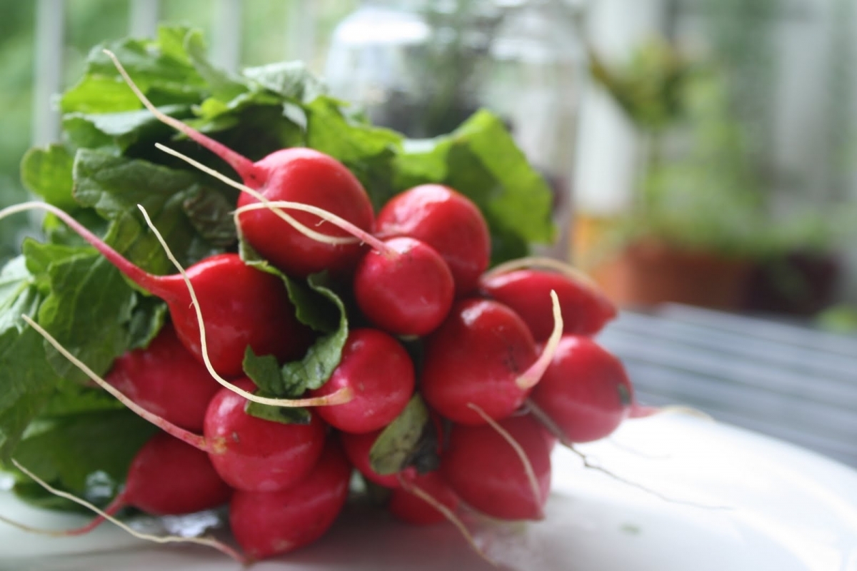 A retek bőrre, hajra és egészségre gyakorolt jótékony hatása 