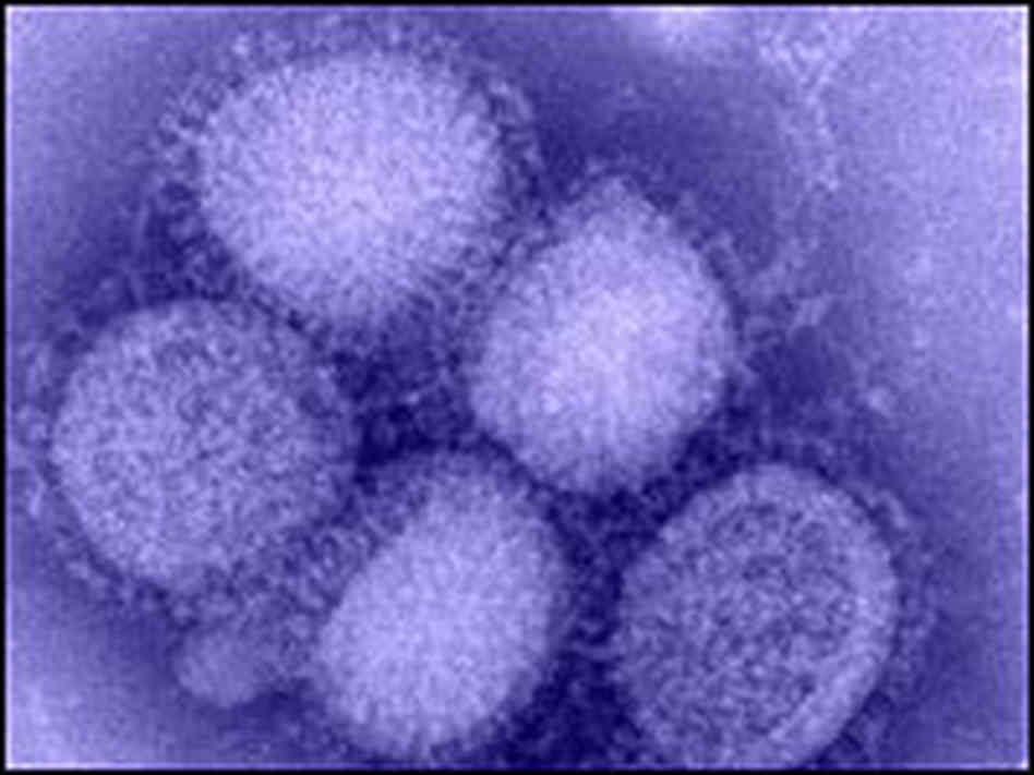 Kit kellene influenza ellen oltani?