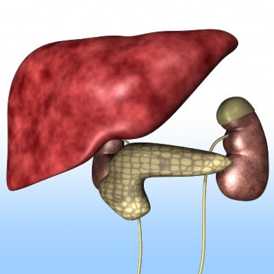 A vírusos májgyulladás