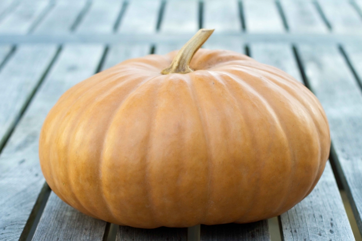 A sütőtök jótékony hatásai 10 pontban