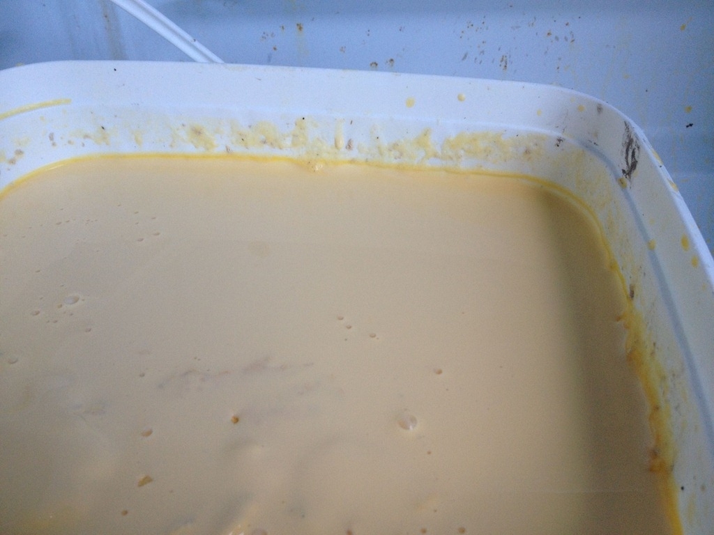 A kolosztrum egészségre gyakorolt jótékony hatása