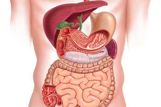 Terhesség és a Crohn betegség